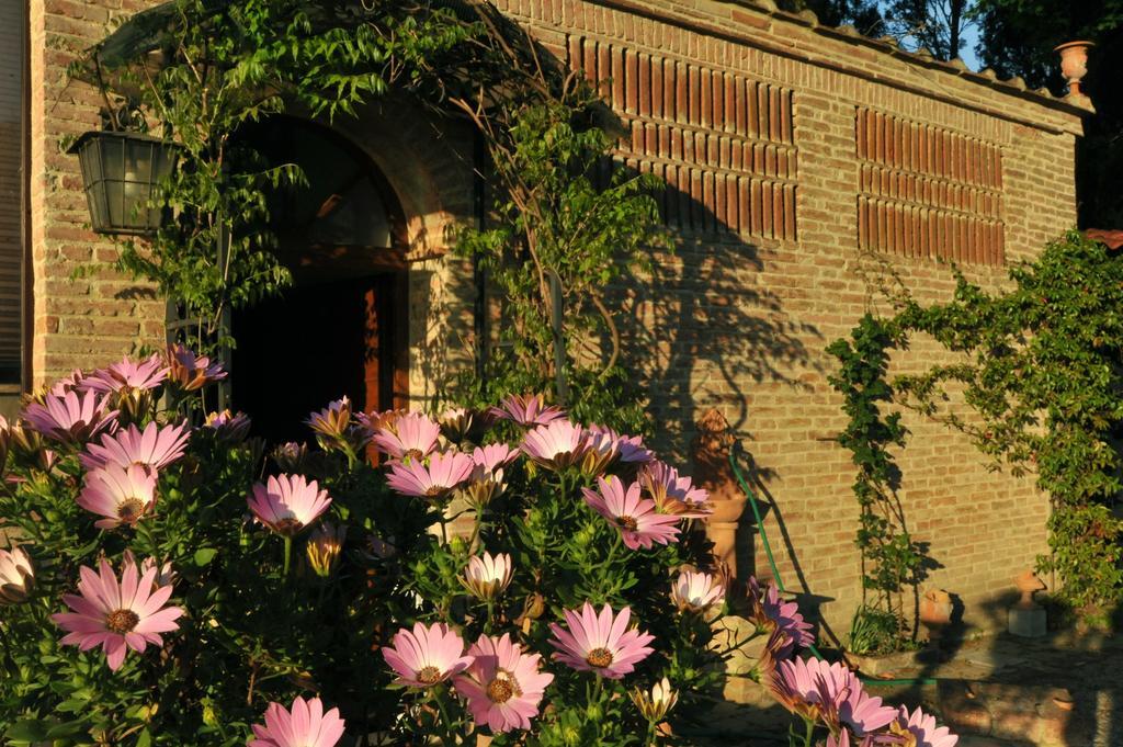 Relais Castelluccio Palusse Guest House Citta della Pieve Ngoại thất bức ảnh